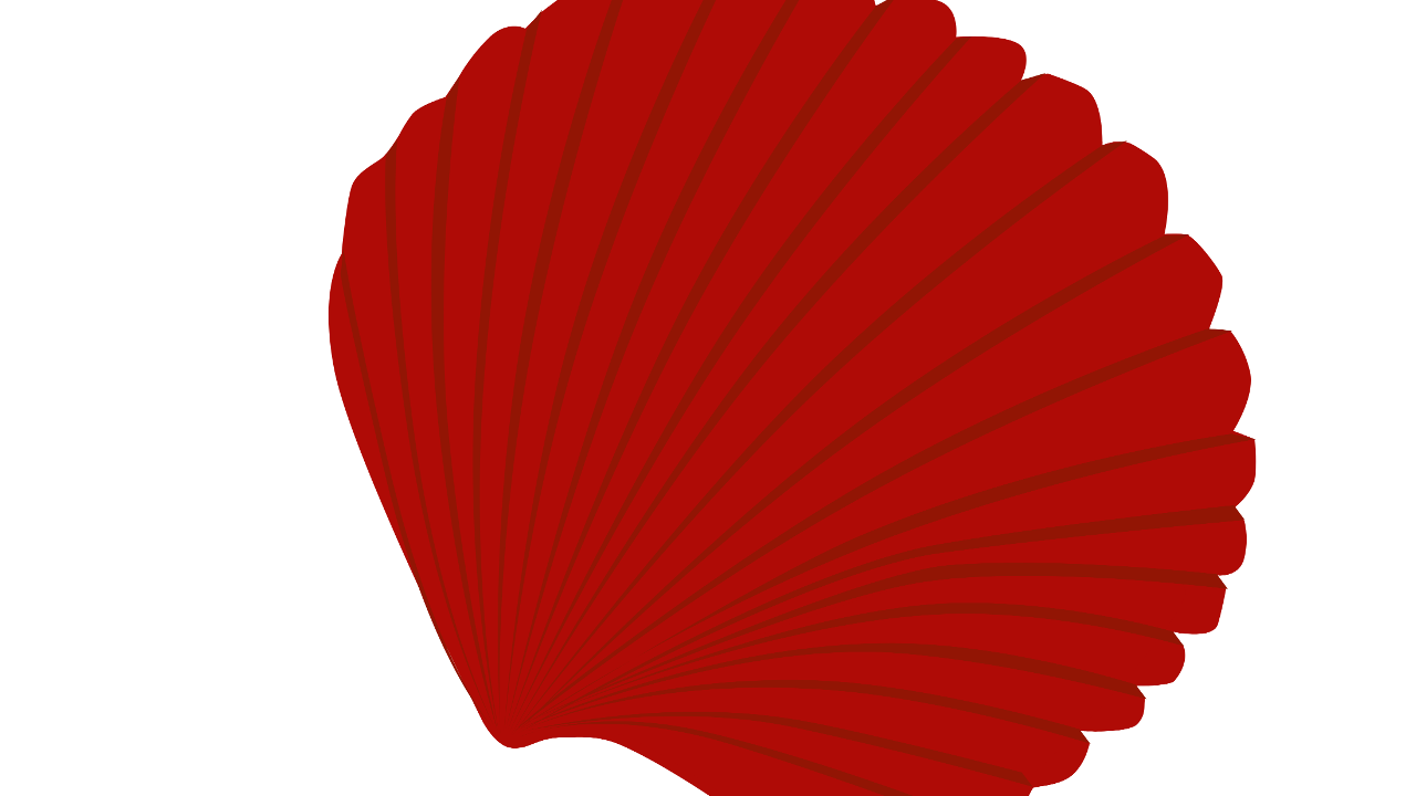 image from Living in symbiosis | Afro-Ecuadorian communities, mangrove forests and cockles